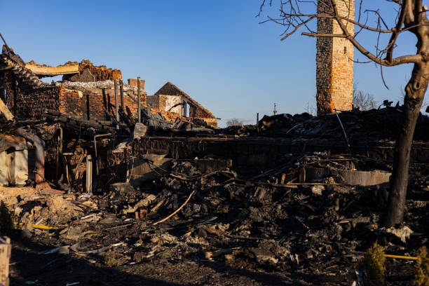 Reliable Fire Damage Removal contractor in Albertville, MN by Fire Damage Laser Cleaning